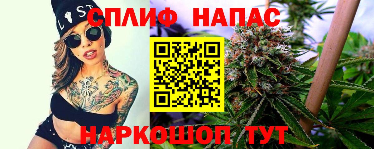 Каннабис Amnesia Тосно